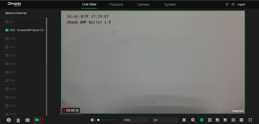 Live View recording in progress, with the red recording indicator, elapsed time, and active Record icon highlighted