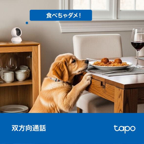 Tapo C250 | パンチルトスマートAI Wi-Fiカメラ | TP-Link 日本