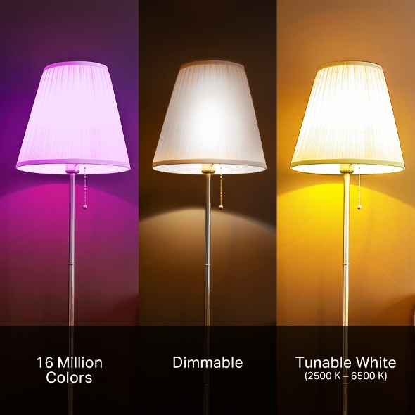 Kasa Smart Light Bulb, Multicolour 7