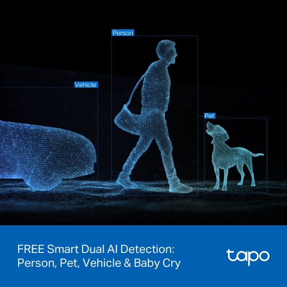 Dual Lens Pan/Tilt Security Camera 9