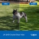 Battery-Powered Outdoor Security Camera 9