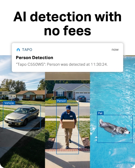 Outdoor Pan/Tilt Security Wi-Fi Camera 9
