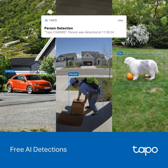 Outdoor Pan/Tilt Security Wi-Fi Camera 6
