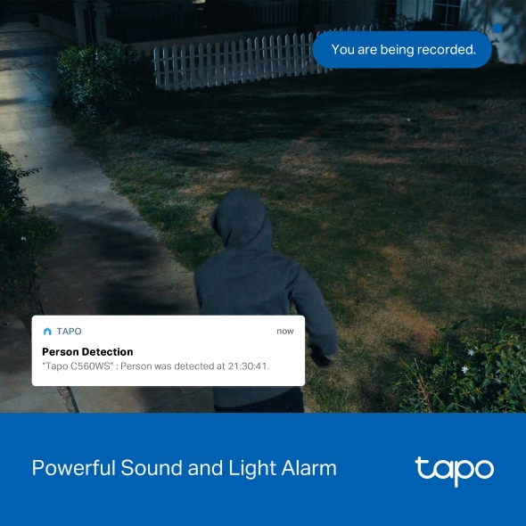 Outdoor Pan/Tilt Security Wi-Fi Camera 10
