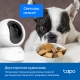 3MP Поворотная беспроводная камера 8
