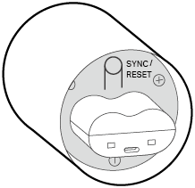Back without Cover