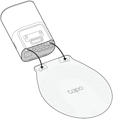 two front feet of the dock