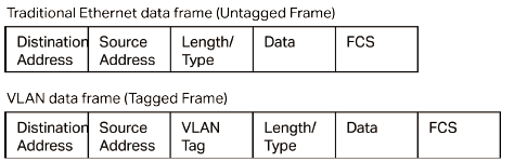 Untagged and Tagged Data Frame