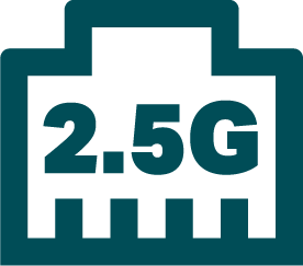 2.5 Gigabit port icon