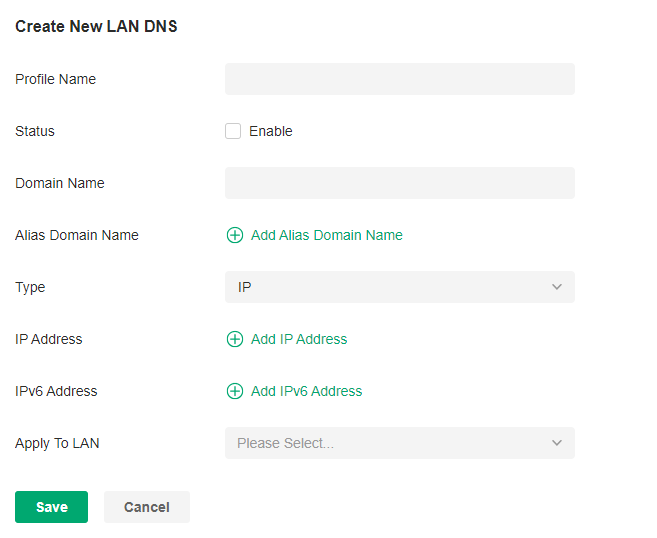 Create New LAN DNS