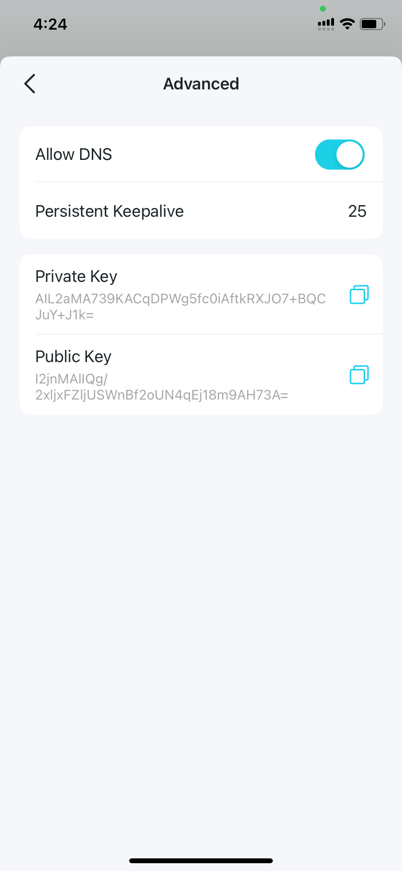 Advanced Settings page for Wireguard VPN