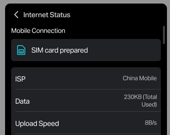 SIM card mobile connection, IPv4 and IPv6 connection details