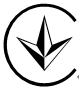 Authentication Icon