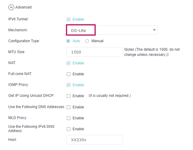 DS-Lite is selected as Mechanism