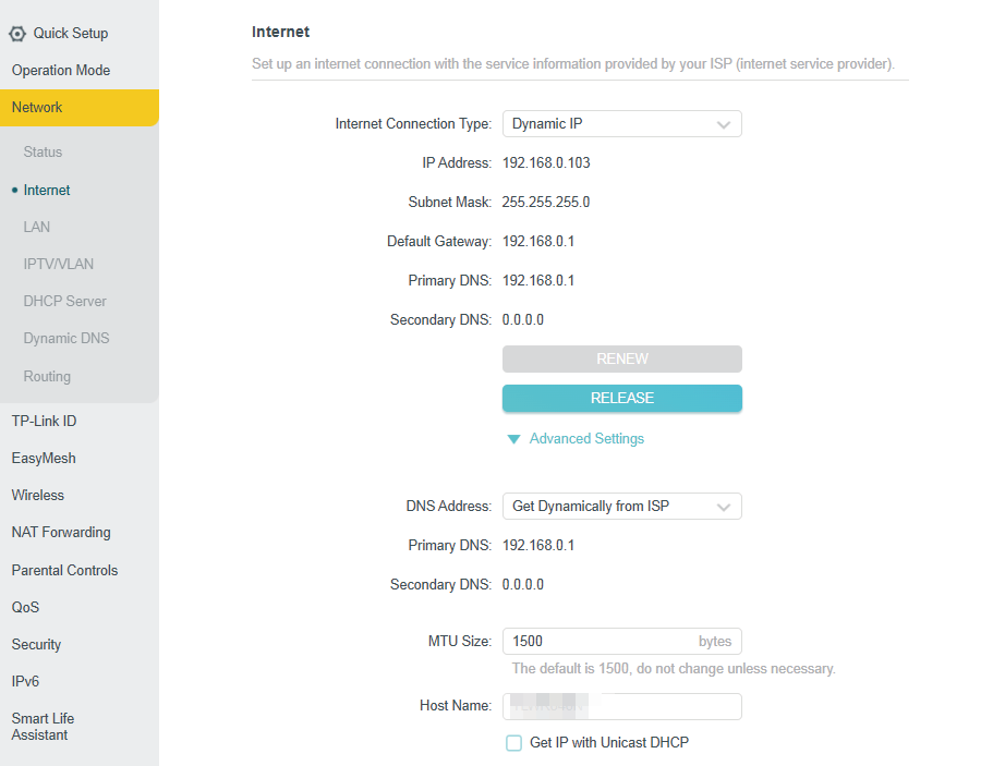 Advanced > Network > internet page