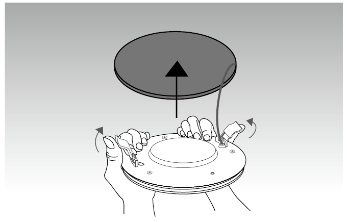 Affix Downlight to Ceiling 