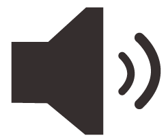 Volume icon
