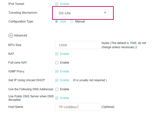 DS-Lite configuration page