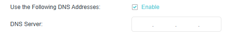 Enable Use the Following DNS Addresses function