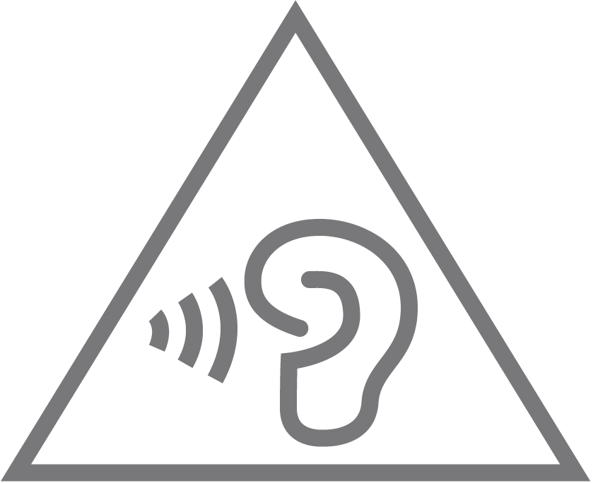 authtication icon