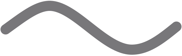 authtication icon
