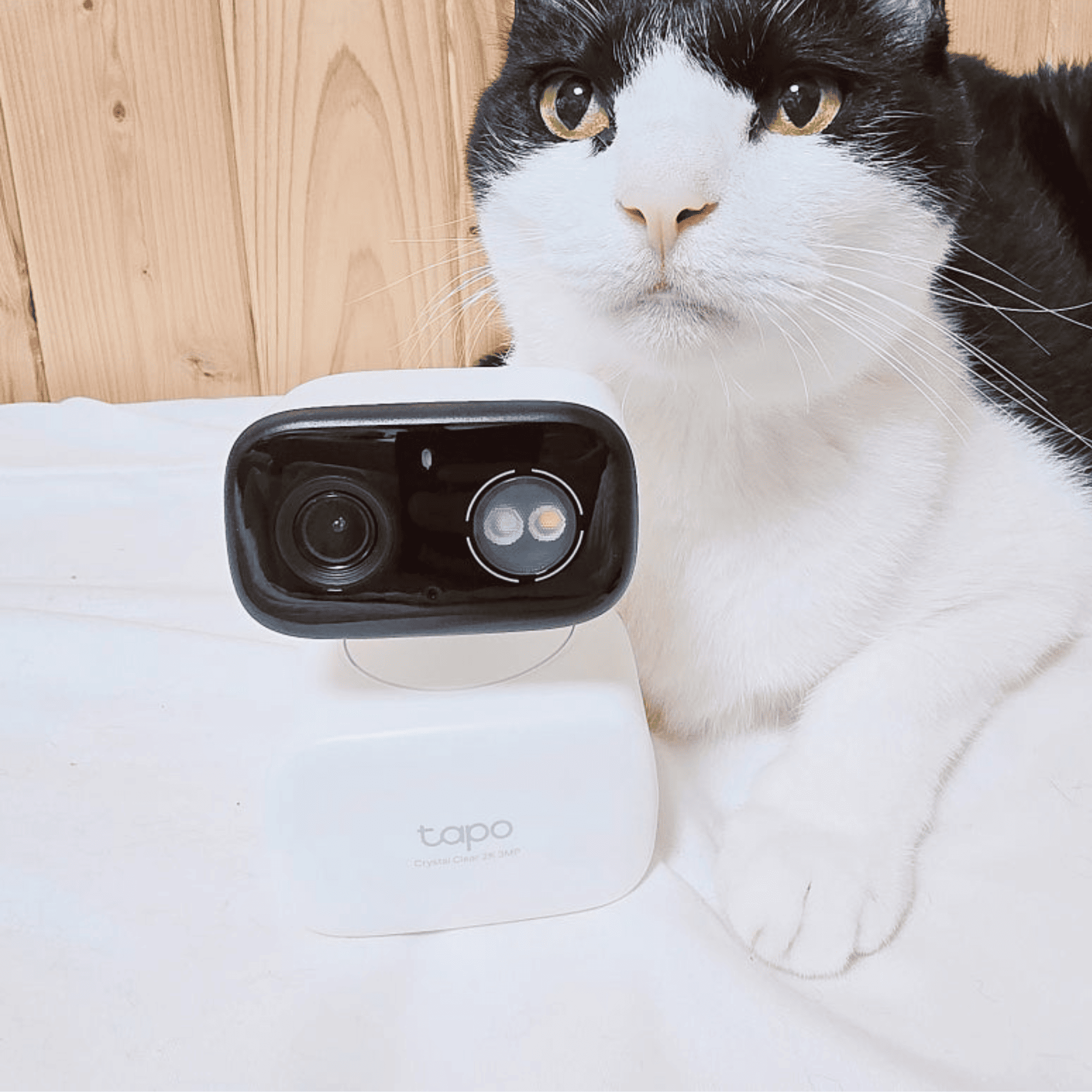 고양이 펫캠 강아지CCTV 실외 실내 가능한 타포 홈캠