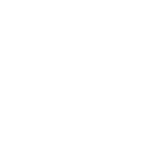 People Counting